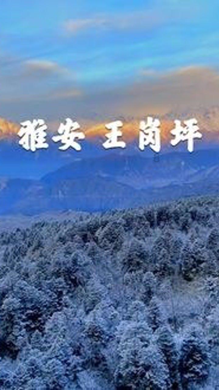 逃离废弃的城堡