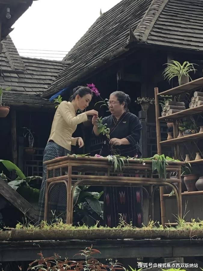 23年各省高考作文题目中，哪个省份的作文题目最难写？哪个最简单？