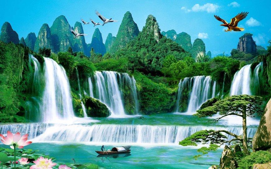 拯救枯树