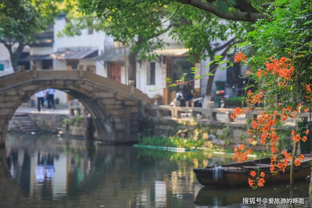 小马宝莉的新造型