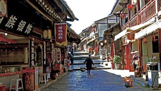 拯救枯树